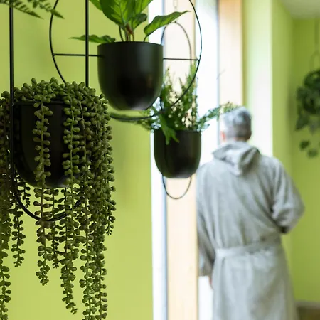 Ξενοδοχείο Knoblauch Φριντρισχάφεν