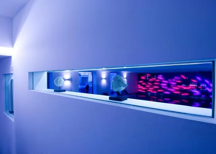 Knoblauch Friedrichshafen